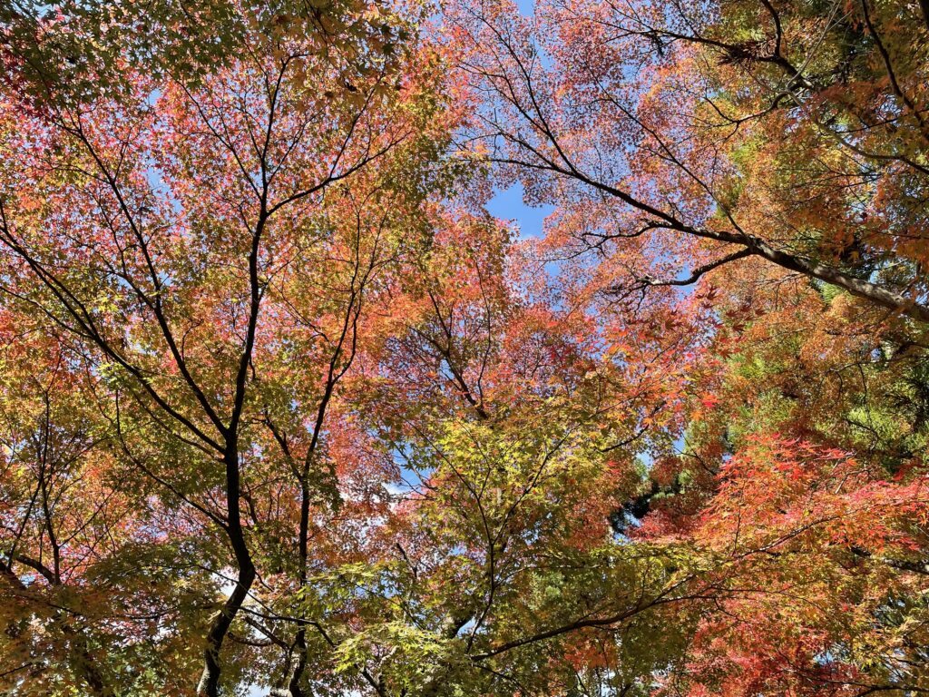 しょうざんリゾート庭園