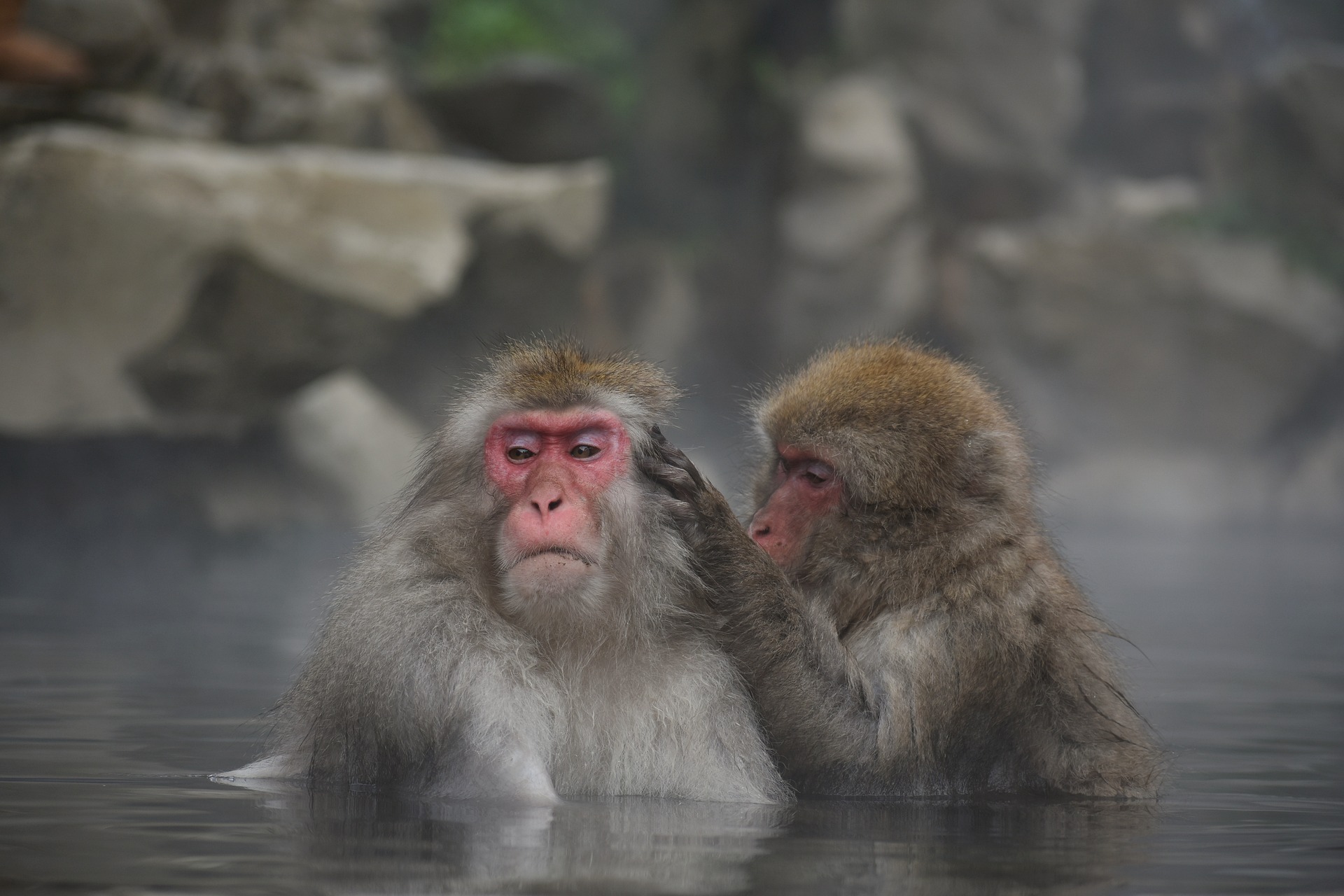 【マリオット】温泉・大浴場のある日本国内ホテルリスト
