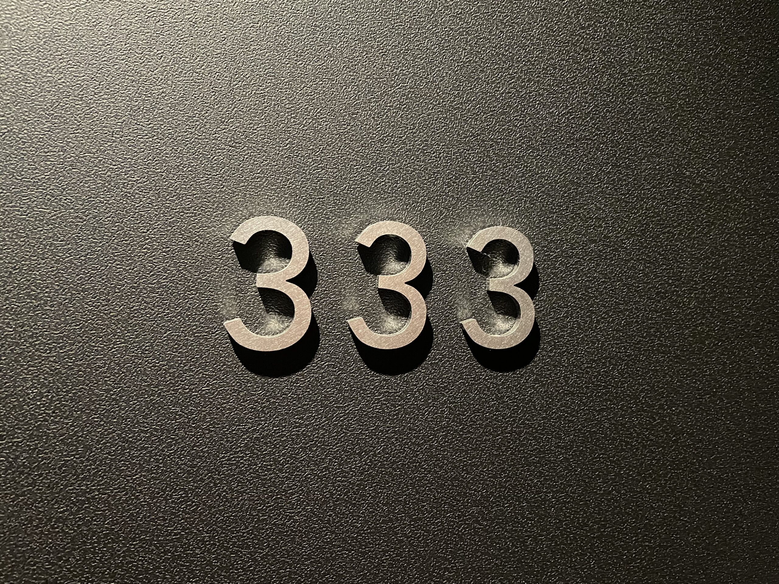 ３３３号室