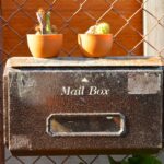 郵便箱とサボテン