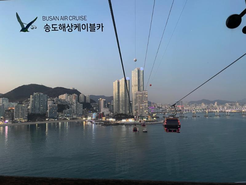 busan air cruise