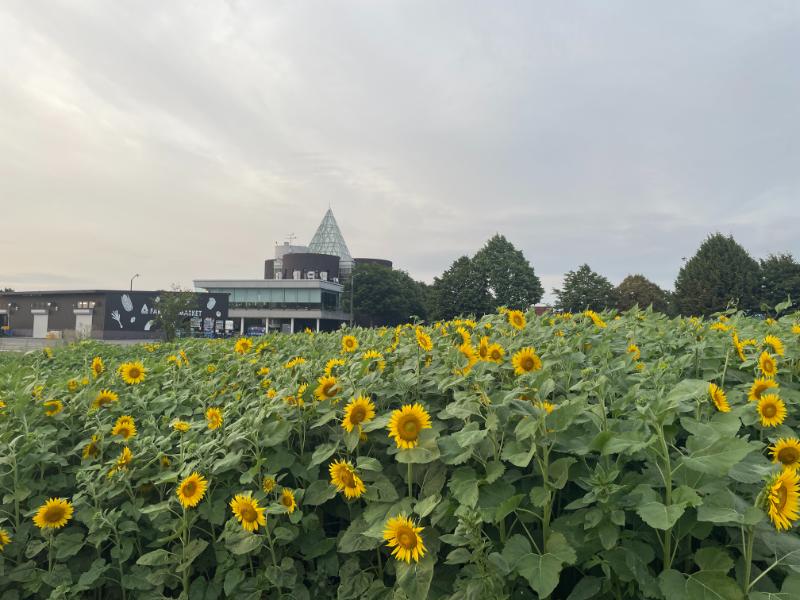 フェアフィールド･バイ･マリオット･北海道長沼マオイの丘公園