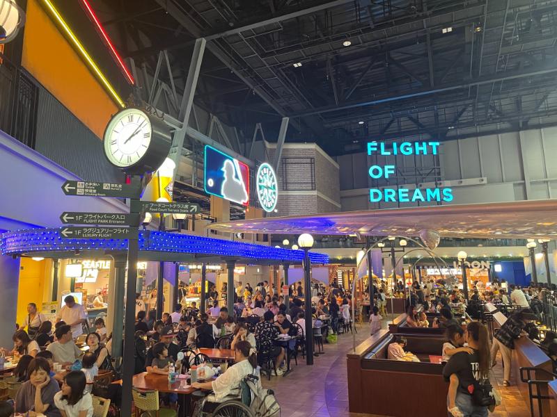 FLIGHT OF DREAMS