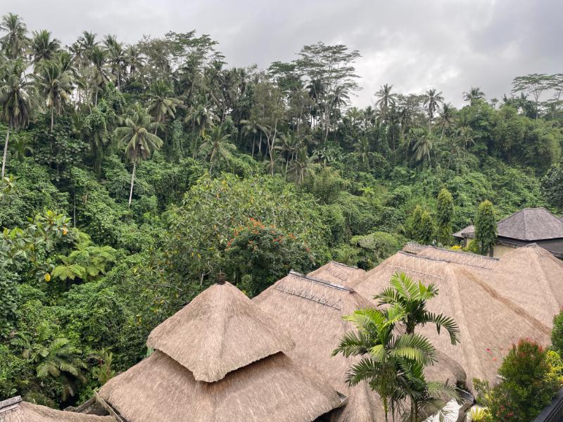 Viceroy Bali, an SLH Hotel（バイスロイ・バリ）