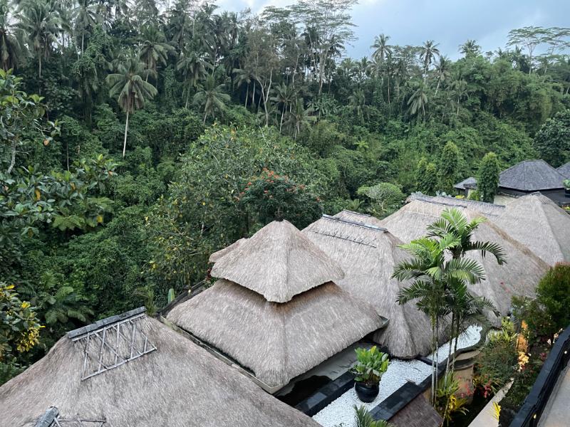 Viceroy Bali, an SLH Hotel（バイスロイ・バリ）