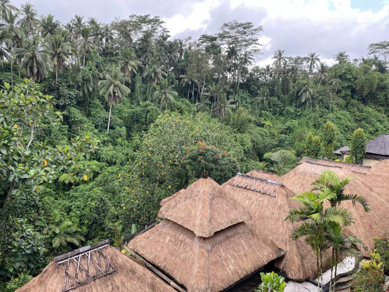 Viceroy Bali, an SLH Hotel（バイスロイ・バリ）