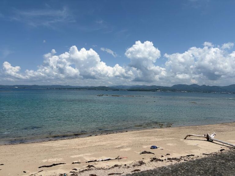 ファイブスプリング・リゾート・ザ・シラハマ・SLH 海岸の景色