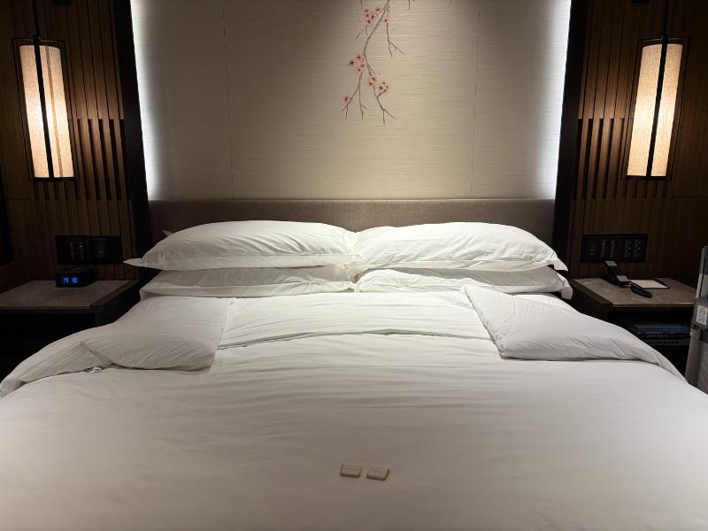 東山ニセコビレッジ、リッツ・カールトン・リザーブ 羊蹄リザーブキング ベッド夜